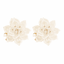 Ivory Magnolia Button Covers - 2 Pieces